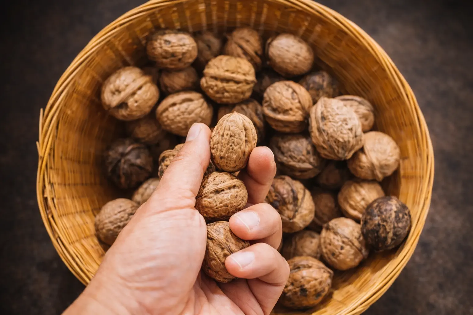 The Ultimate Guide to Walnut Health Benefits: Why You Need Them Daily — Walnut Wala Blog